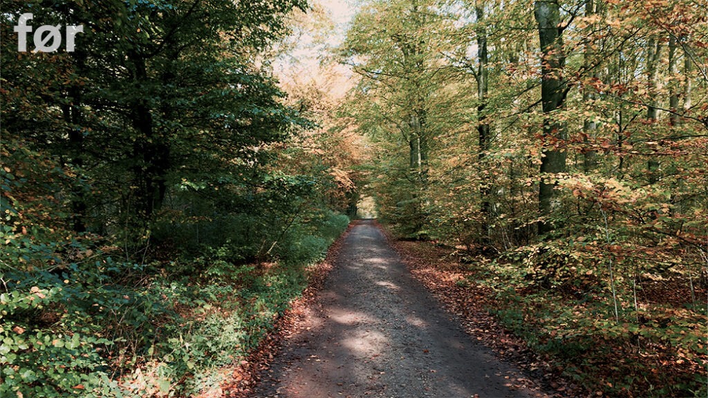 Åved Plantage